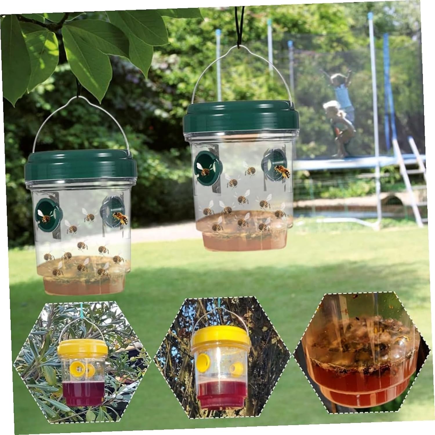 4PC Piège à Guêpes Insectes, Piege Frelon Asiatique, Attrape-Guêpes ...