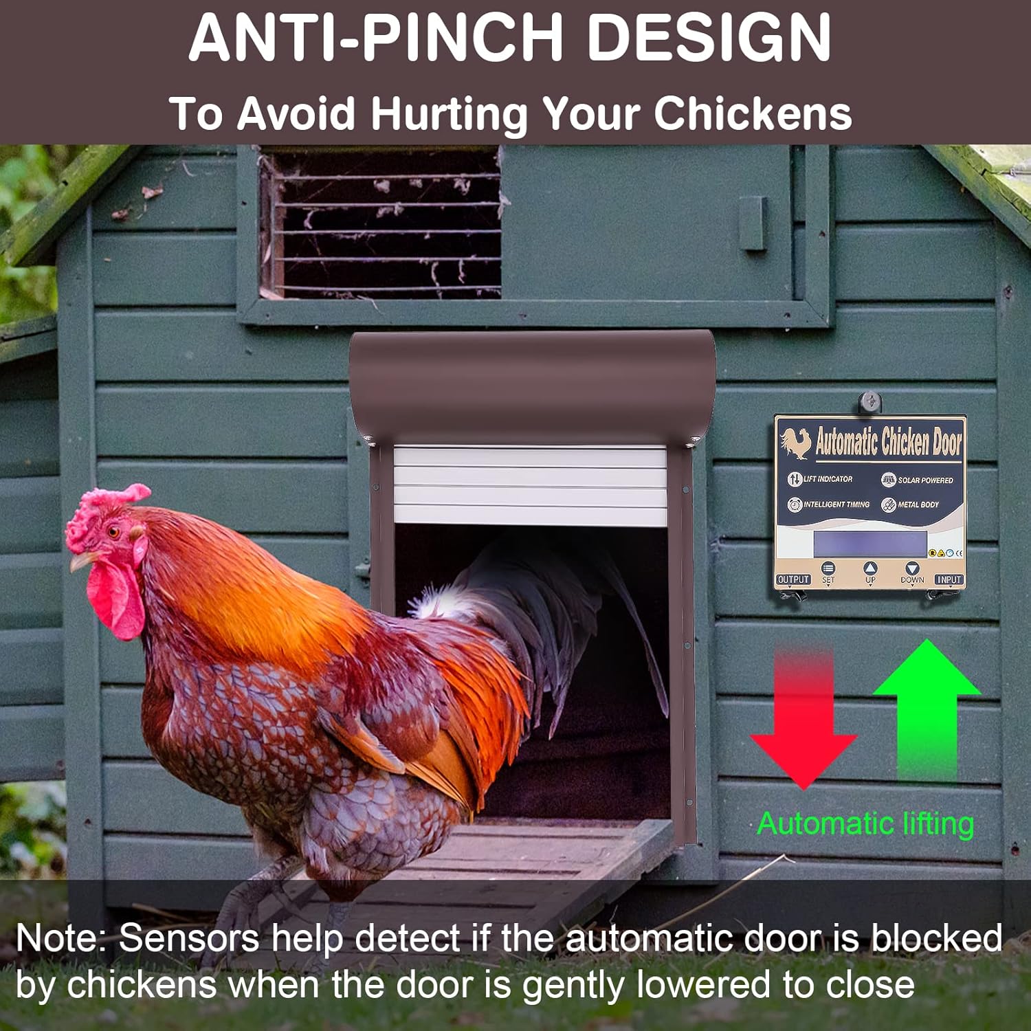 Porte automatique poulailler