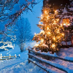 guirlande lumineuse 25m