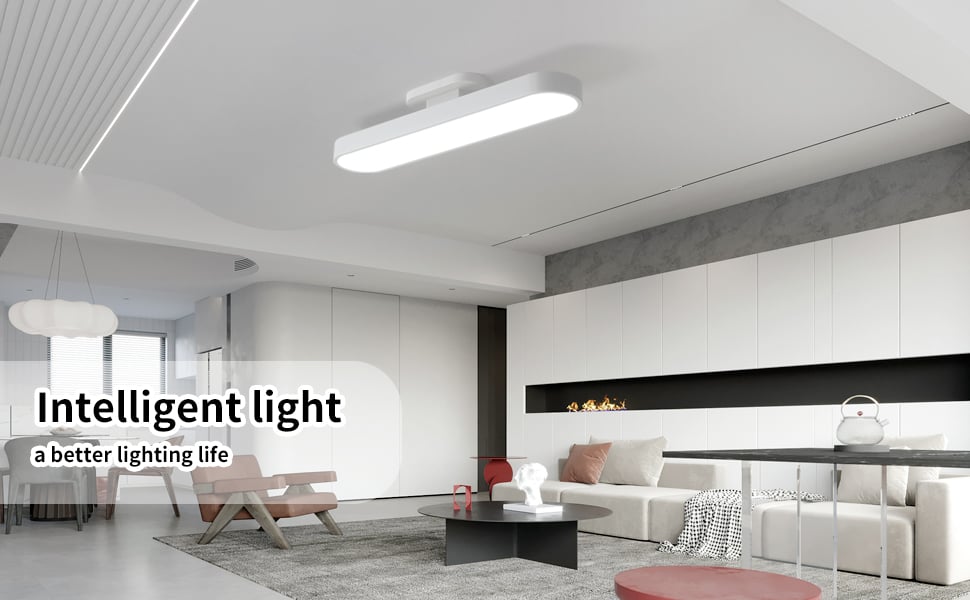 Ceiling Light