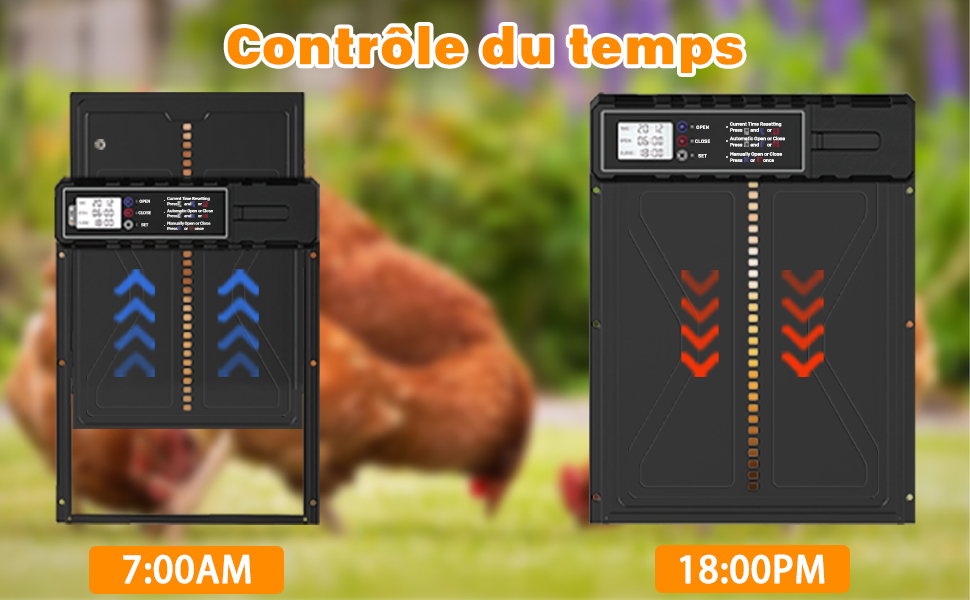 porte poulailler automatique solaire