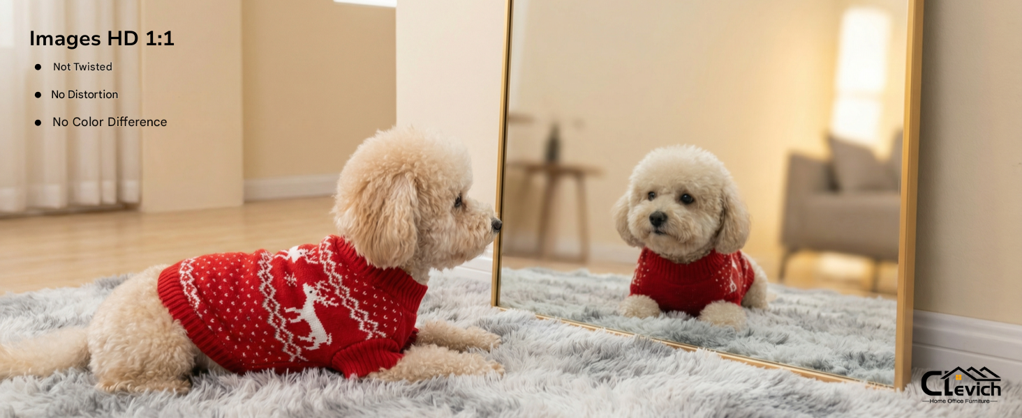 Small white dog wearing red holiday sweater lying on beige carpet or bedding. Multiple similar photos showing different poses.