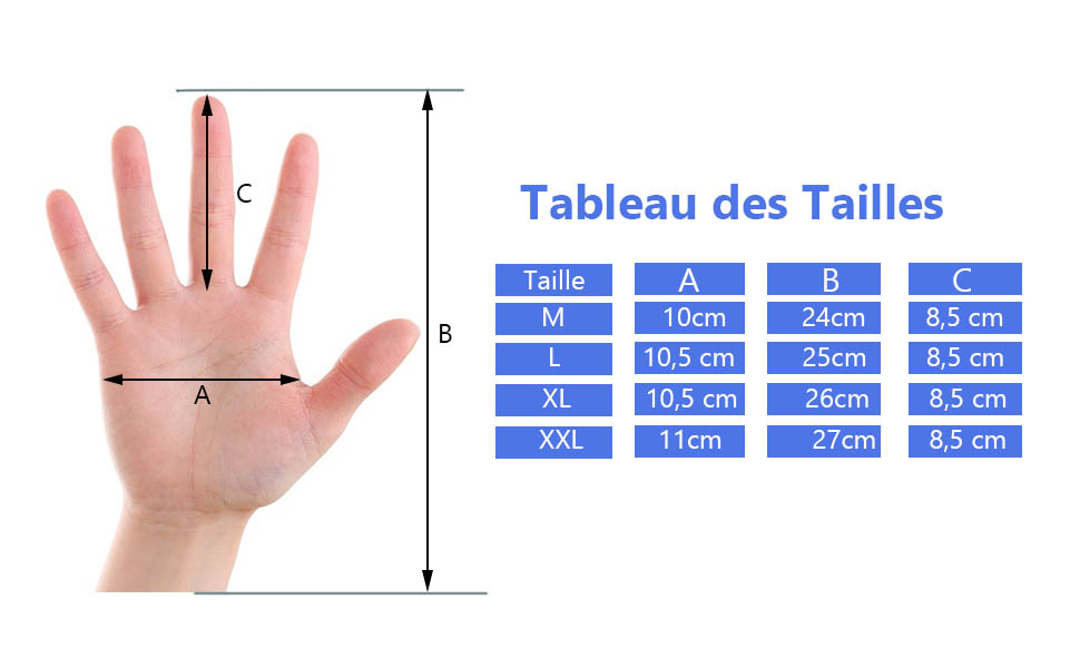 Taille