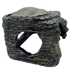 a rock aquarium with a mossy surface.