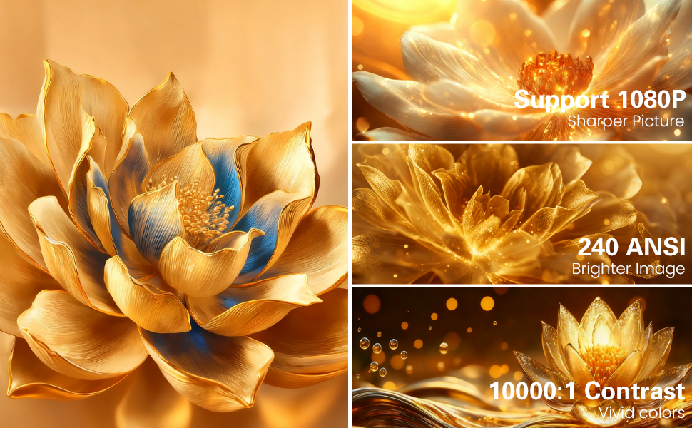 Le texte indique « Support 1080P », « 8000:1 CONTRASTE », « 2.40 ANSI ». Plusieurs rendus artistiques de fleurs de lotus dorées avec des effets lumineux sur fond sombre.