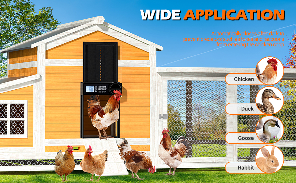 auto chicken coop door