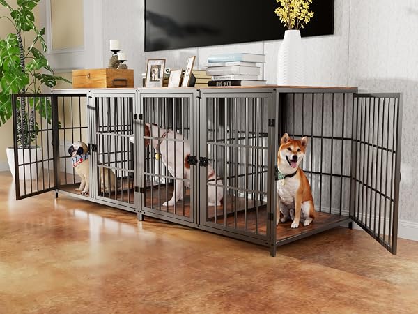 Bingopaw Gabbia per Cani interno