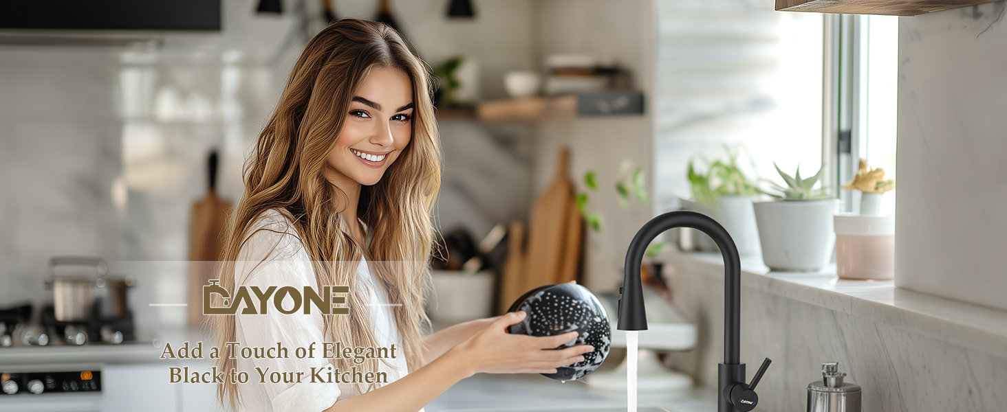 Matte Black Kitchen Mixer Tap with Pull Out Spray
