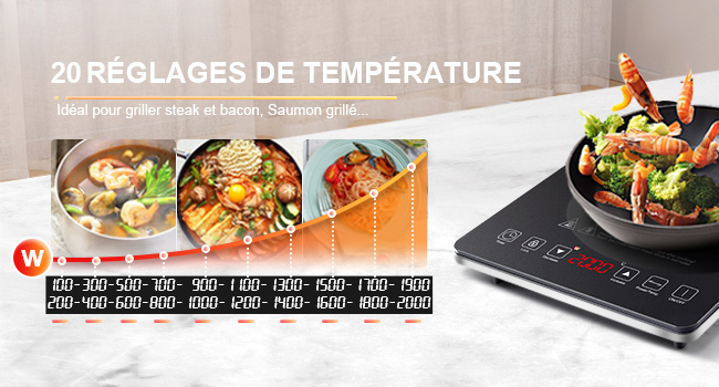 affichant 20 réglages de température avec des images des aliments, notamment des fruits de mer grillés et des plats sautés