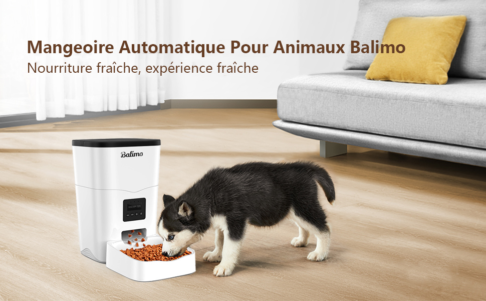distributeur croquettes chat automatique