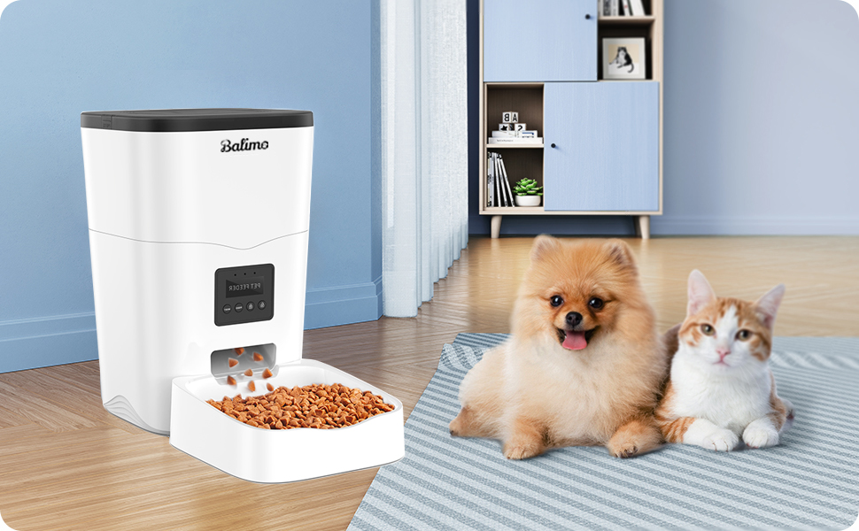 distributeur croquettes chat automatique