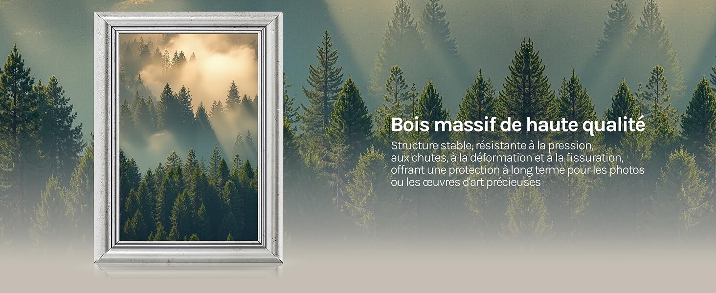 Le texte indique « bois massif de haute qualité ». Série d'images de paysages encadrées montrant des scènes de forêt brumeuse avec des montagnes en arrière-plan.