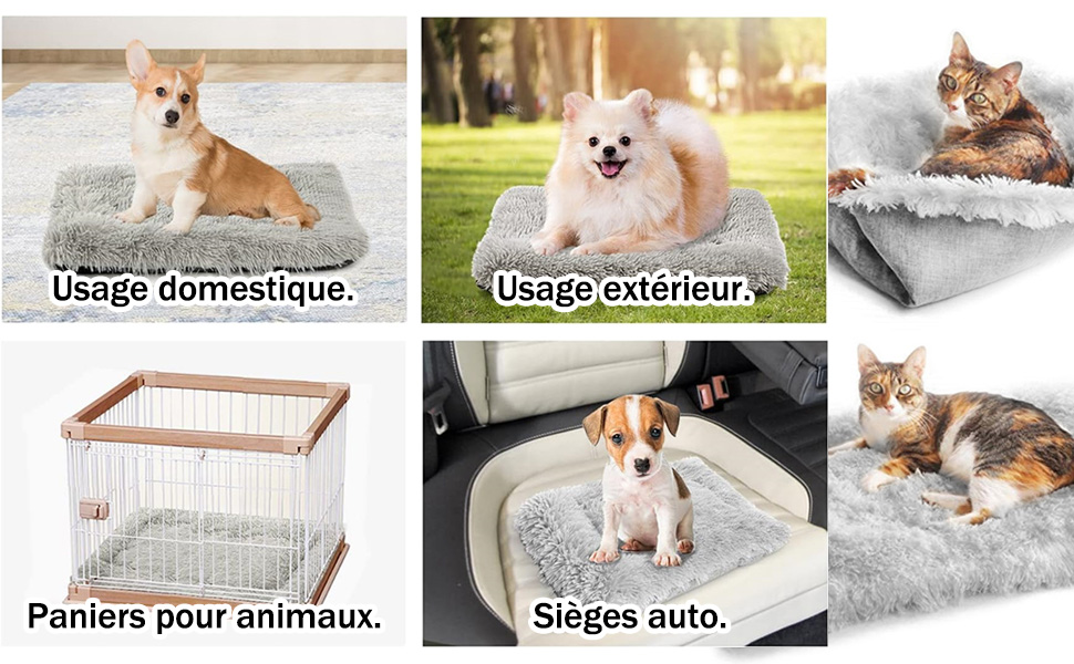 aplus content image