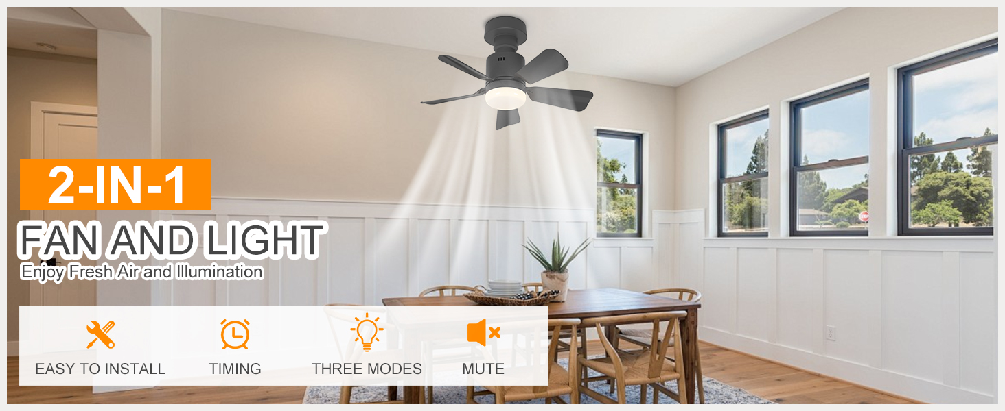 screw in ceiling fan light
