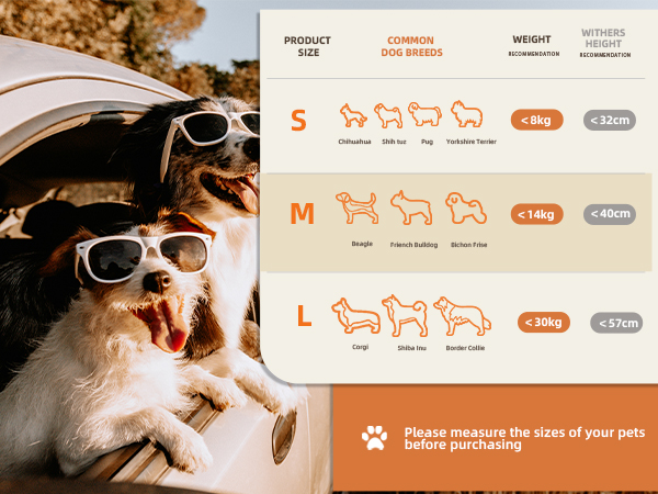 BingoPaw Seggiolino Auto per Cane Trasportino