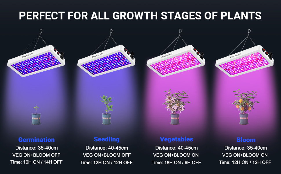 LED à spectre complet avec UV IR, double puce LED Grow Lampe avec câble de 3 mètres