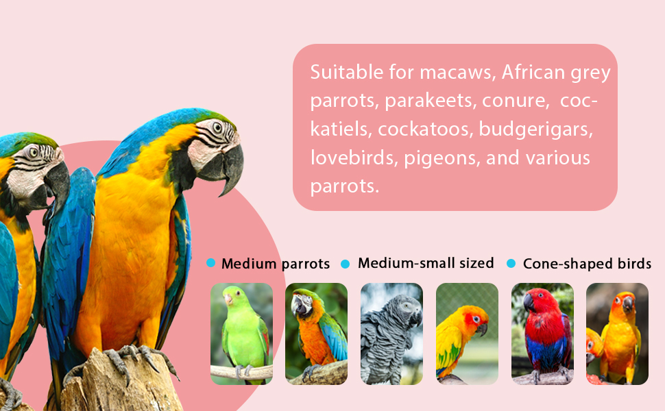 the parrots of the world
