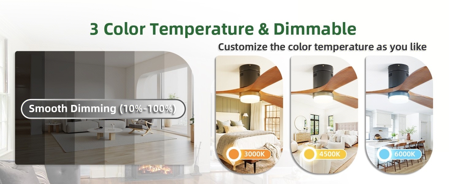 ceiling fan with light