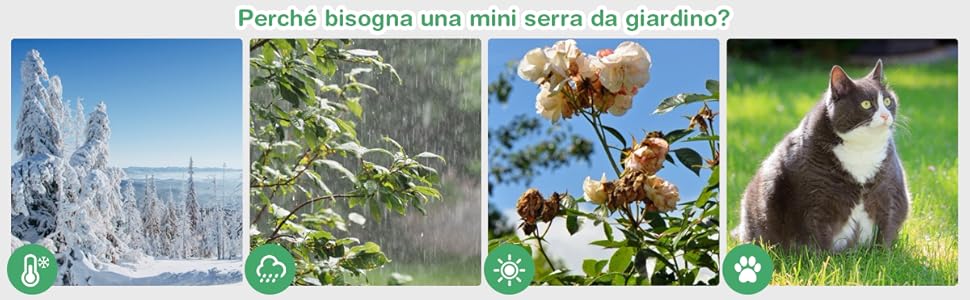 GIANTEX Serra Da Balcone In Legno Di Abete, Piccola Serra Per Piante, Mini Serra In Policarbonato Trasparente, Giardino E Terrazzo, Con Luce Adeguata, Naturale (60 X 45 X 100 Cm) -Vendite VIDAXL AAHKMJXYDAFdJAOAIMEbOAchlkWZ0oakZn uVZ0mPidMNbILvCvspZ4oG3fPgIqc1P26RdPiG8KHKUtblW5 ULKvLD1OHzwX jolGWPZGyLZfAf9apDTnYCtJquf6X yXRJQdTVNlTNSl2ILxHVOQzmmQOd2yhaSx4DJ1aLNGW7hrisrLFyIewBNG 4Ukc7hiemNPEvvkREQJwO3VvAzAdvr