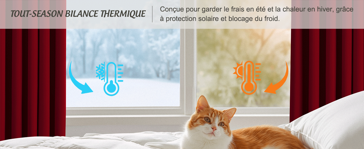 Le texte se lit comme suit : « RIDEAUX BALANCE THERMIQUE » en français.
[SENTENCE 13] Photo intérieure montrant une fenêtre avec des rideaux et un chat se reposant près du rebord de la fenêtre.