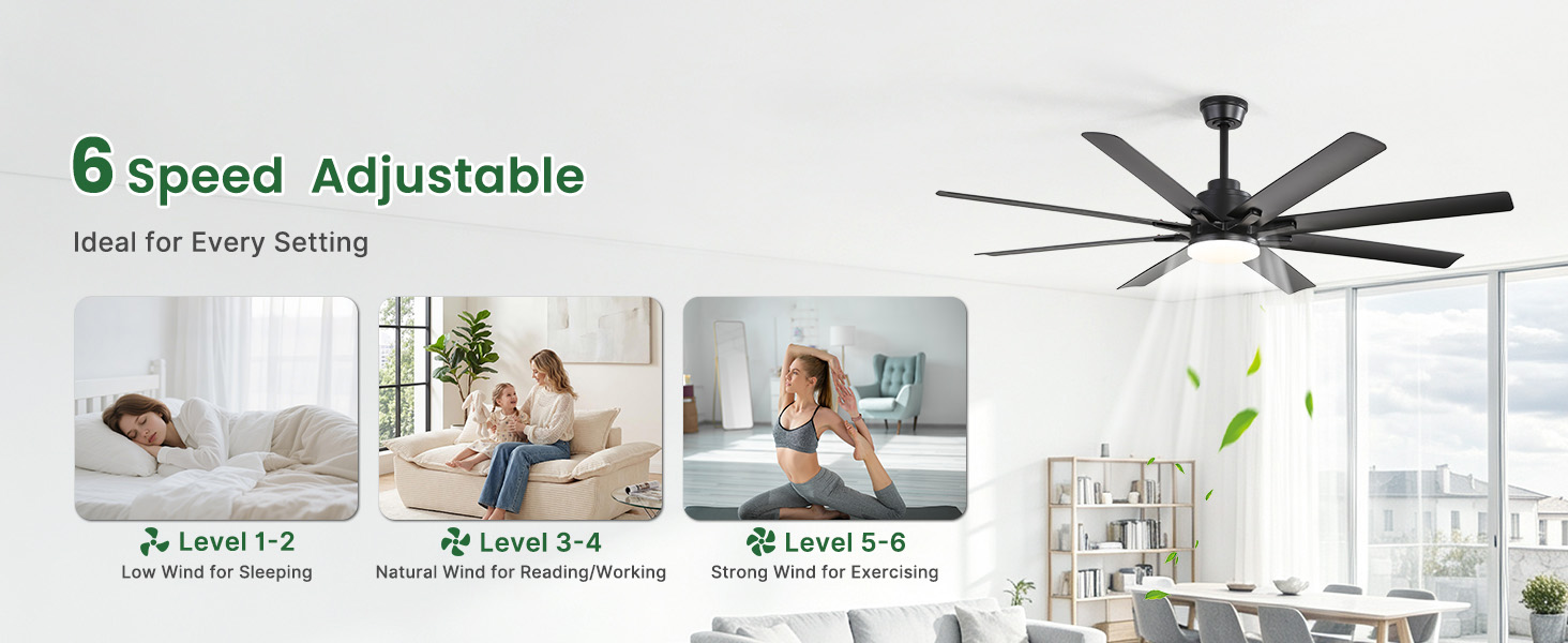 ceiling fans with lights