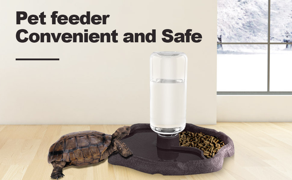 Dispensador de agua para reptiles