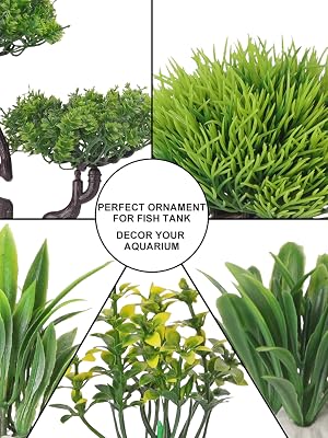the perfect decorative tree for your home