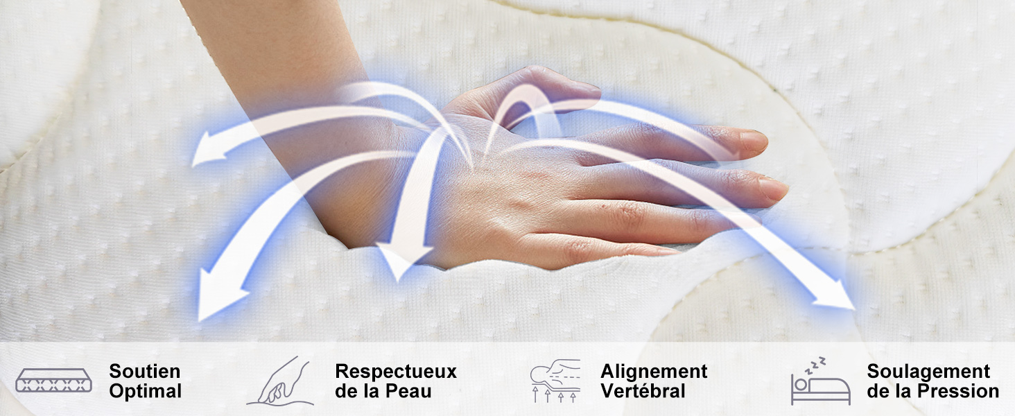 Illustration étape par étape avec des flèches bleues montrant le processus d'installation. Les icônes indiquent les caractéristiques de contrôle, de température et d'alignement du système.