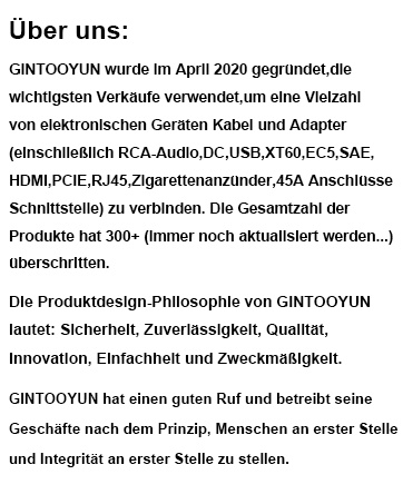 Text description of GINTOOYUN company profile in German, detailing their founding in April 2020 and focus on electronic device connectivity solutions.