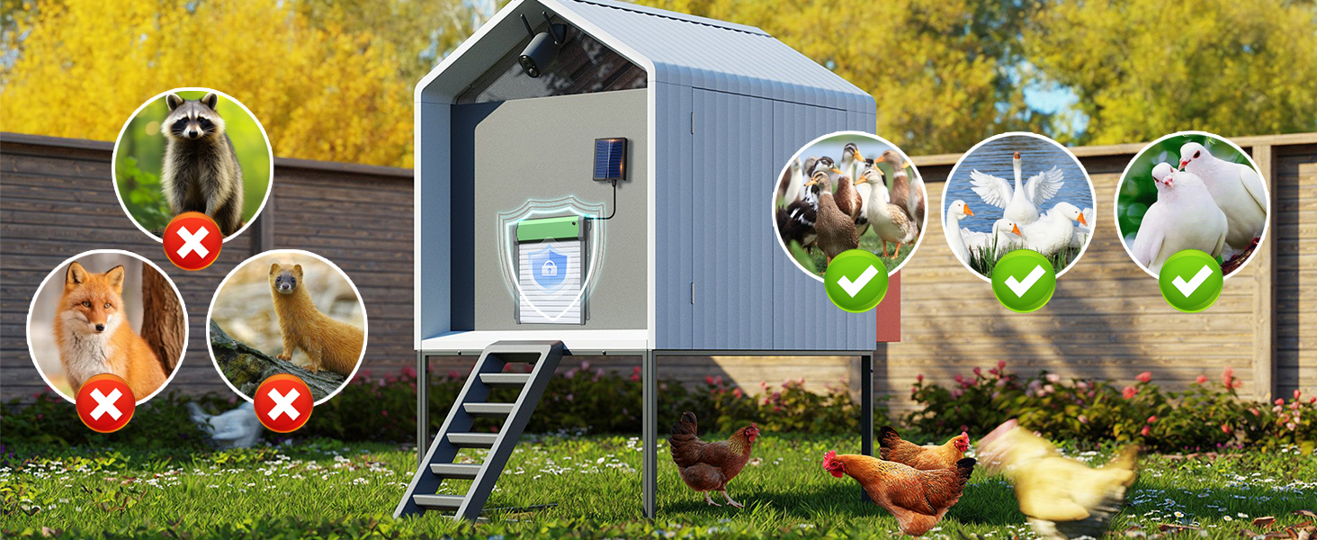 Automatic Chicken Coop Door