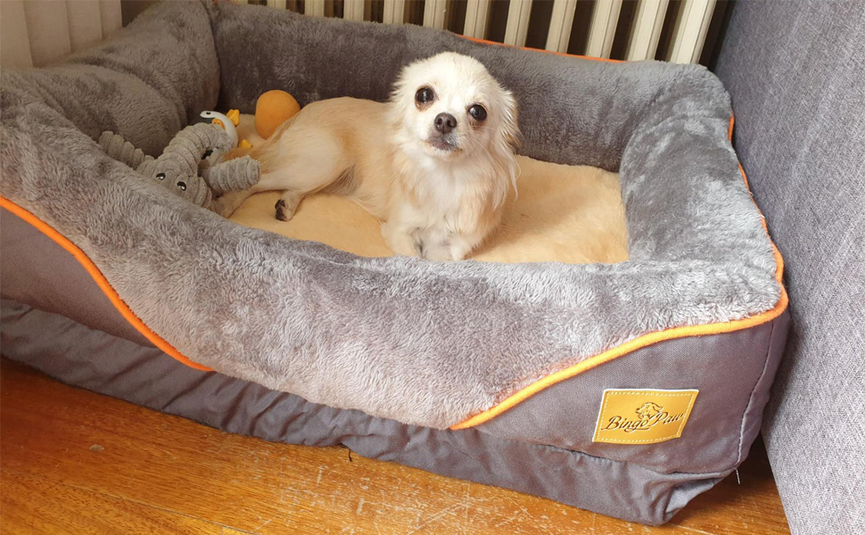 Cuccia Cuscino Materassino per cani comodo Materasso memory per cane con bordi rialzati Rimovibile