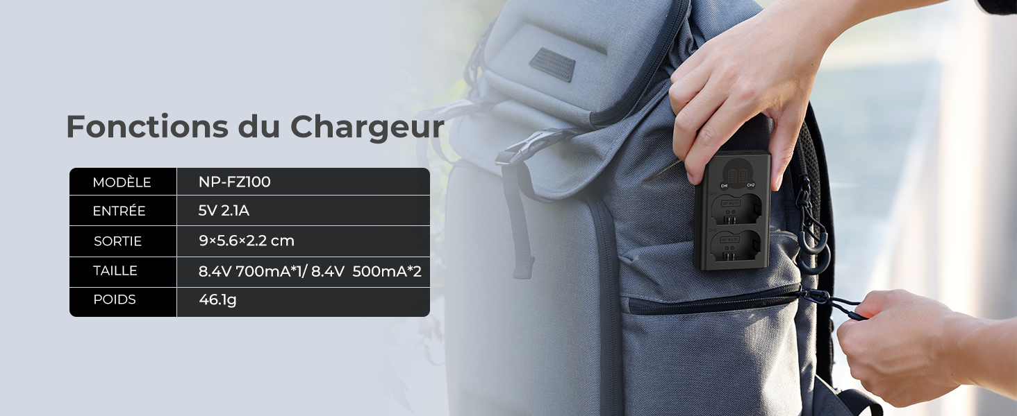 Dual port charger NP-FZ100