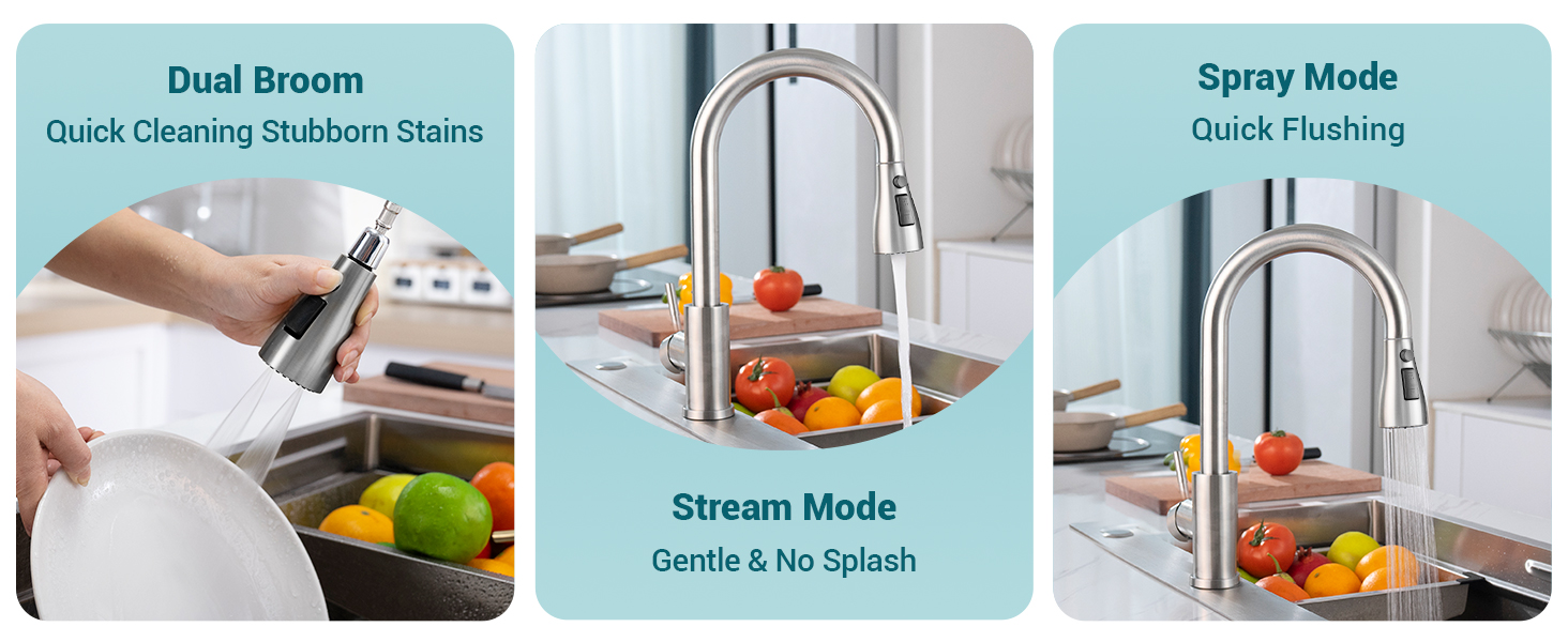 DAYONE Kitchen Mixer Tap with Pull Out Spray