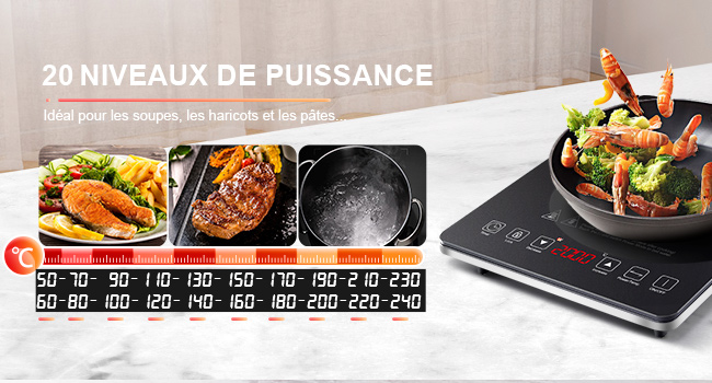 affichant 20 niveaux de puissance avec des images d'aliments cuits. Texte français « 20 NIVEAUX DE PUISSANCE » visible avec les réglages d'alimentation numériques en dessous