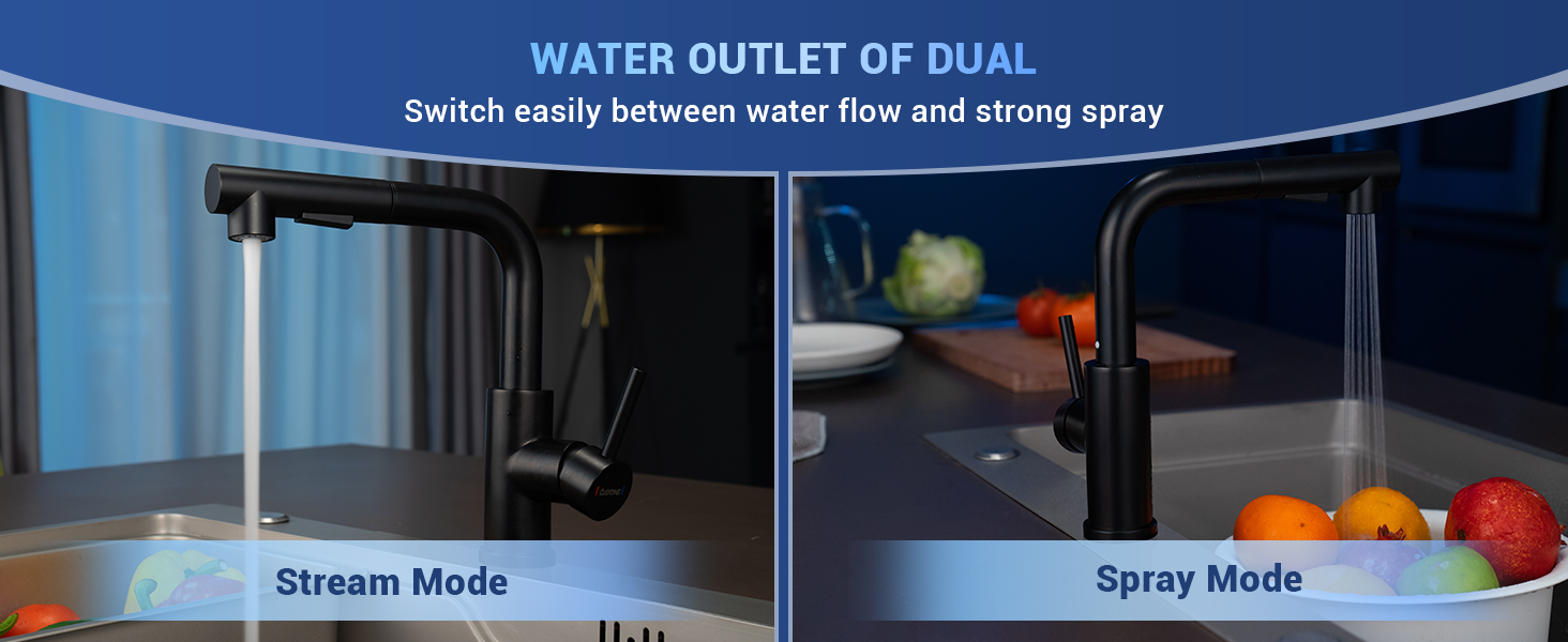 DAYONE Kitchen Taps with Pull Out Spray, Stainless Steel Kitchen Sink Taps