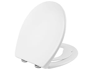 the toilet seat is a compact, compact toilet seat that can be used for small spaces.