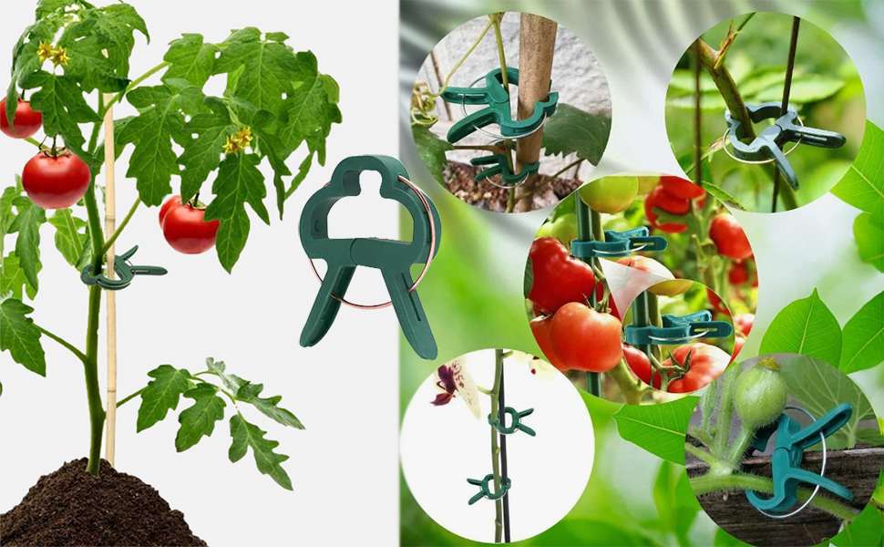 pinces à plantes