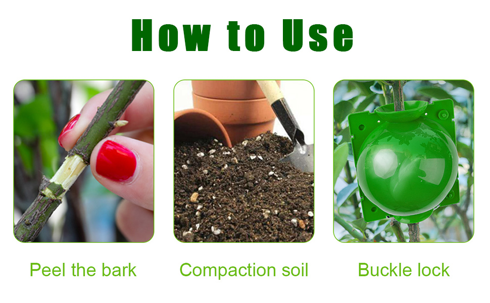 boule d'enracinement plantes