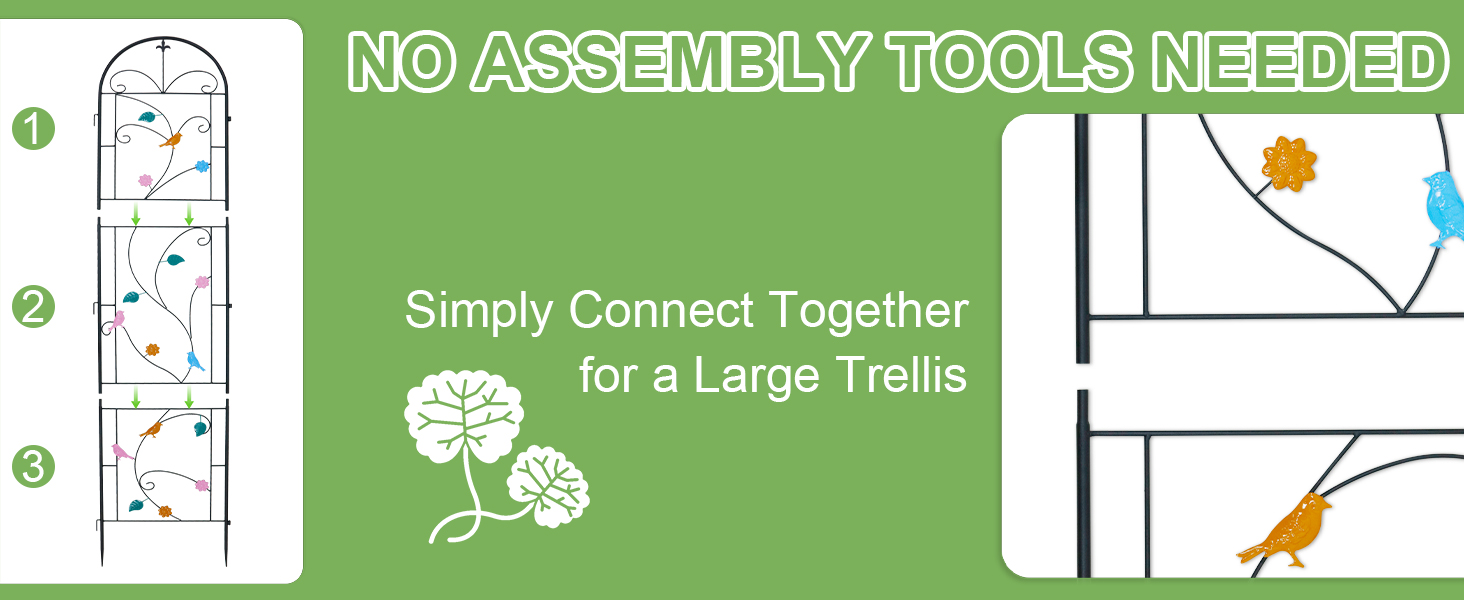 aplus content image