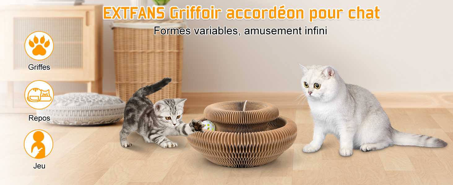 con più livelli. Due gatti, un soriano grigio e un gatto bianco, sono seduti vicino al tiragraffi. Sullo sfondo è visibile una cuccia rotonda per gatti.