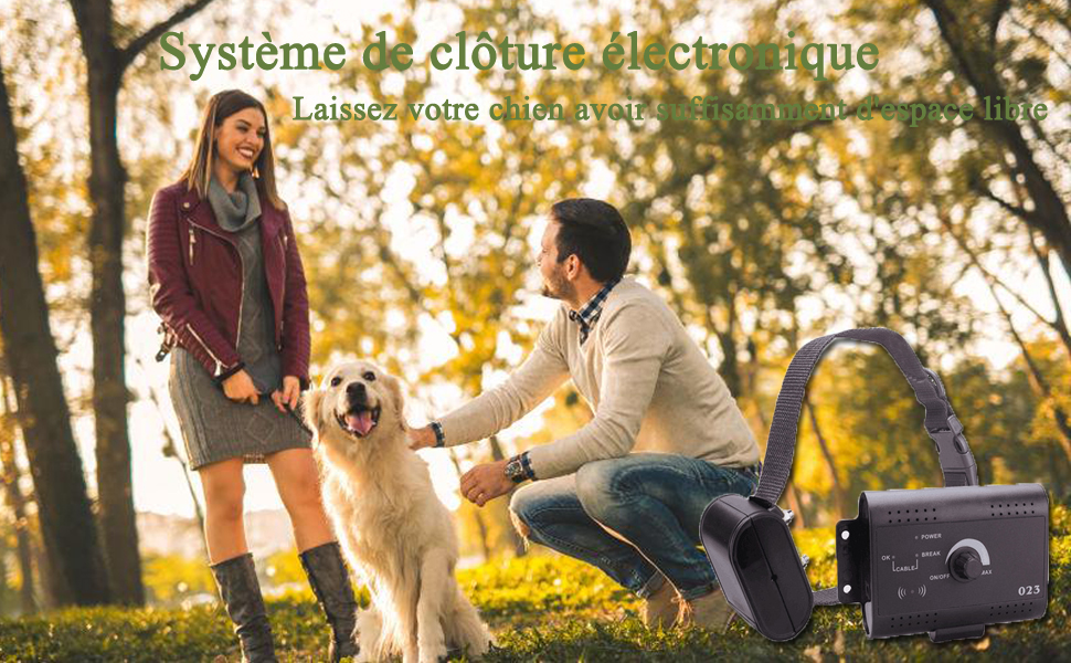 chenil pour chien exterieur