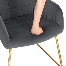BH333