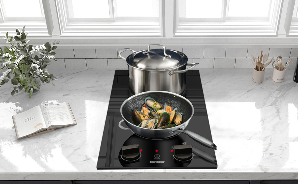 plaque de cuisson induction