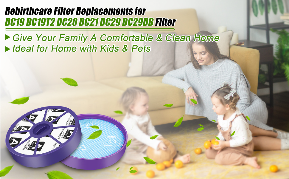 Filtre Dyson DC29