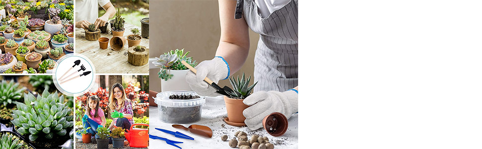 Hand Tools Set Bonsai