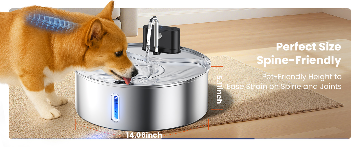pet water fountain