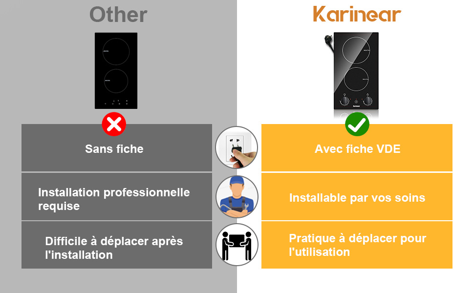 plaque induction 2 feux avec fiche