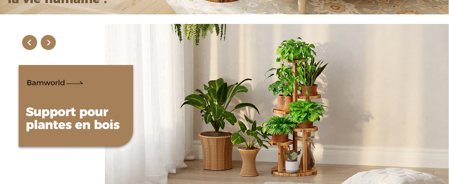 Supports à plantes en bois de différentes hauteurs et motifs, présentant des plantes en pot. Les supports présentent des formes cylindriques et géométriques, fournissant un support surélevé à la verdure intérieure.