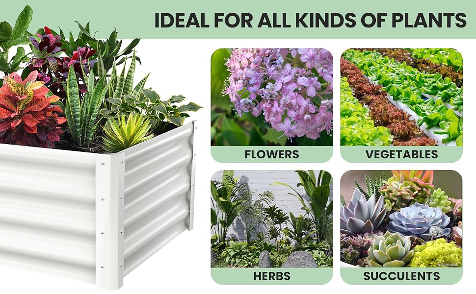 garden bed flower bed raised bed raised beds