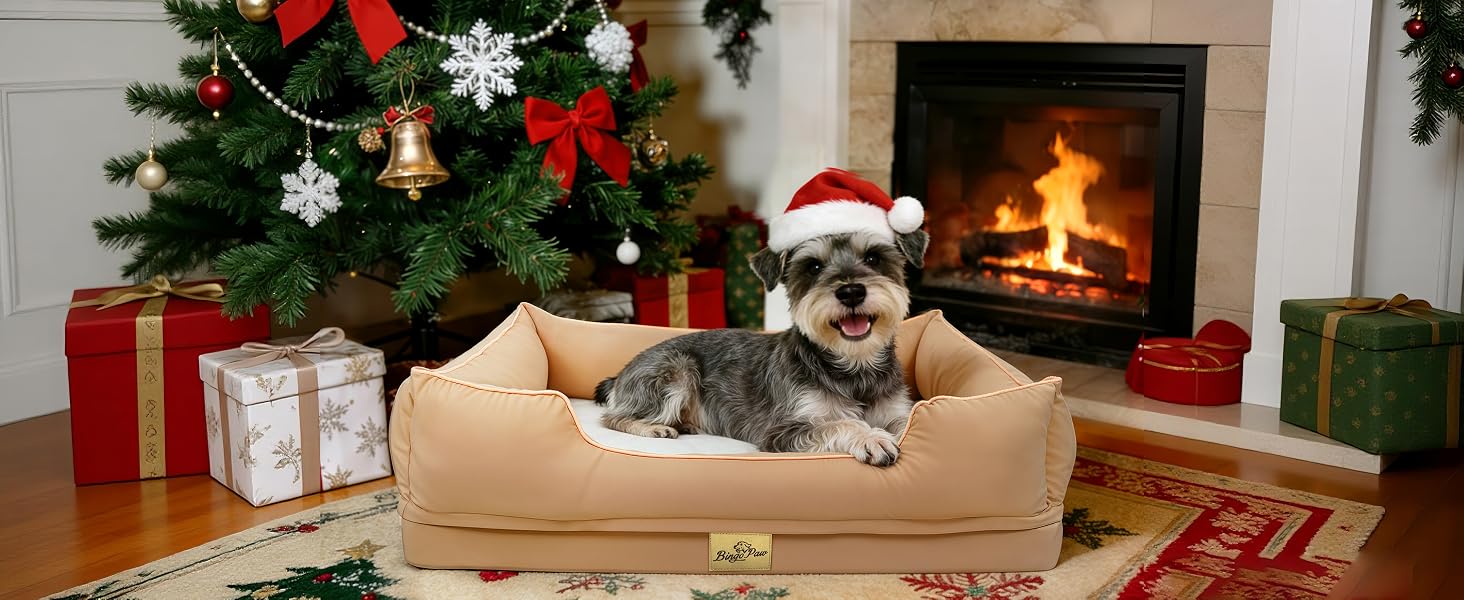 Accogliente scena natalizia con albero decorato, regali incartati e caminetto acceso. Cuccia per animali domestici visibile in primo piano con decorazioni natalizie sparse in tutta la stanza.